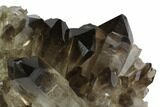 Dark Smoky Quartz Crystal Cluster - Brazil #84852-2